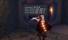 光遇新季节物品爆料最新,神秘物品揭秘，探索未知领域